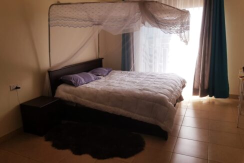 IMG-20221130-WA0392